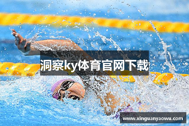 洞察ky体育官网下载